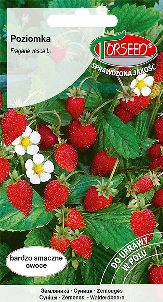 Rujana Erdbeersamen 0.2g - Torseed Produktbild 