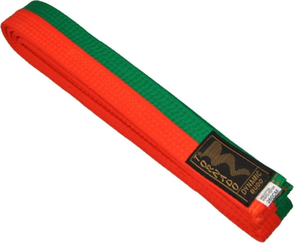 TEKKA BUDO Kampfsport Gürtel Orange-Grün mittig geteilt 2-farbig - Budogürtel halb halb gestreift, Karate, Judo, Taekwondo, Ju-Jutsu - 240 cm