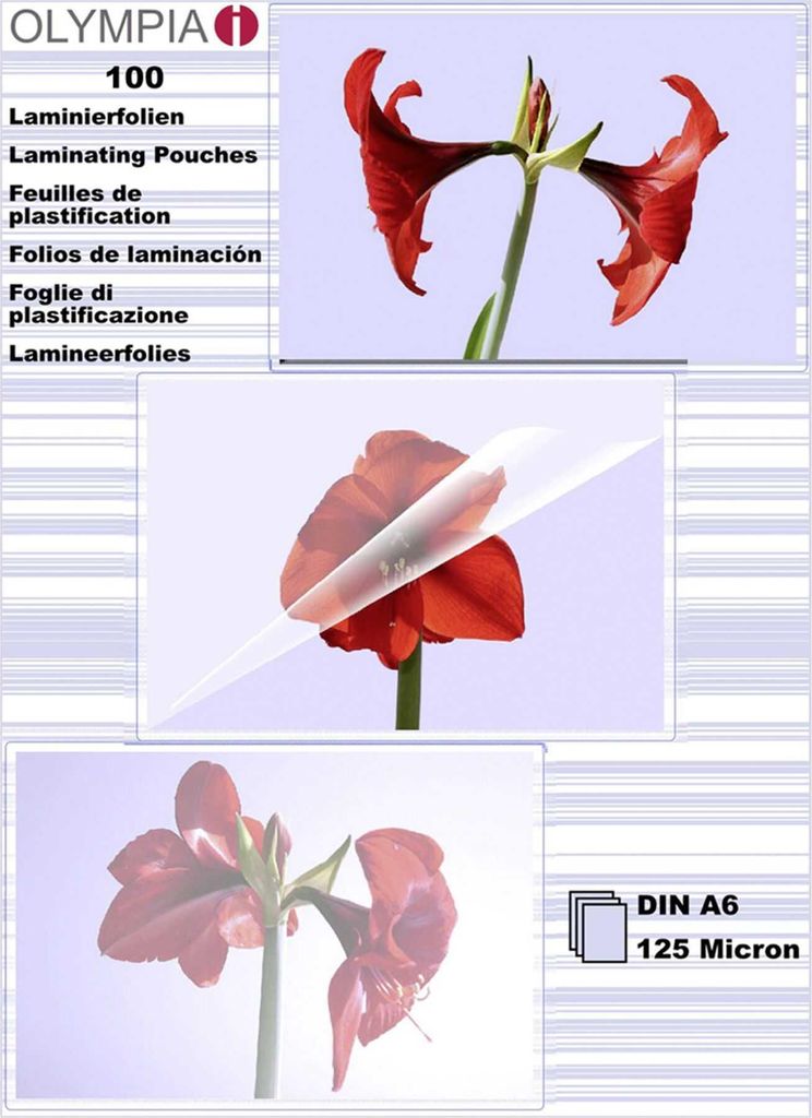 Olympia Laminierfolien DIN A6, 100 Stück 125 mic