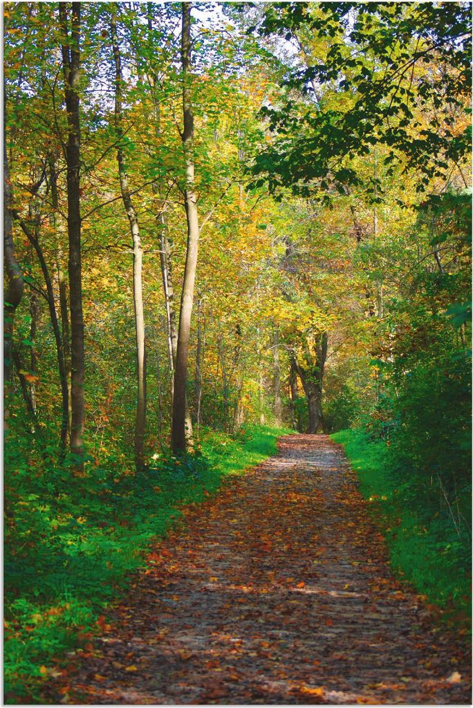 ARTland Wandbild Alu für Innen & Outdoor Weg im Herbst Wald Größe: 20x30 cm