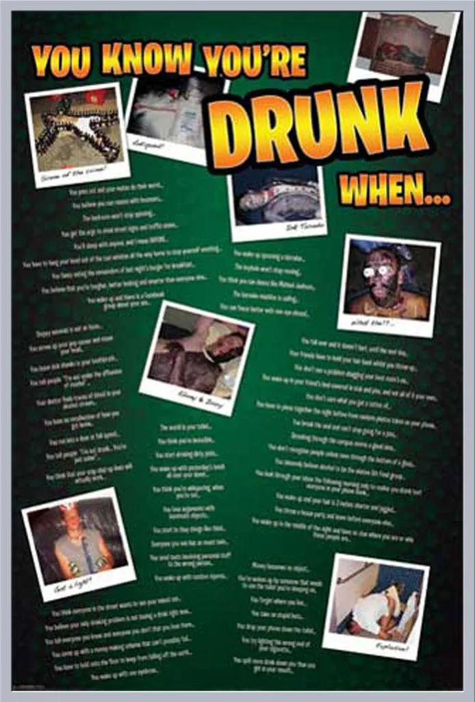 Cadre argenté Shinsuke Maxi avec affiche Fun You Know You're Drunk