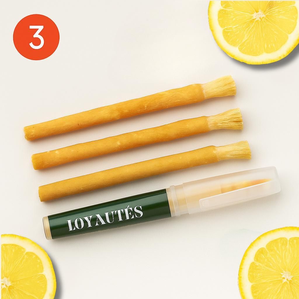 Zitrone Miswak mit Halter – 3 Stück – Siwak – Natürliche Zahnbürste – Biologisch & Fluoridfrei – Antibakteriell – Halal & Vegan – ...