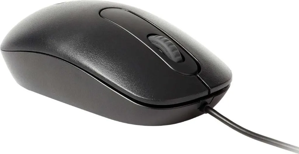 Souris Filaire USB pour Télétravail Rapoo N200 - Idéale Bureautique Noire