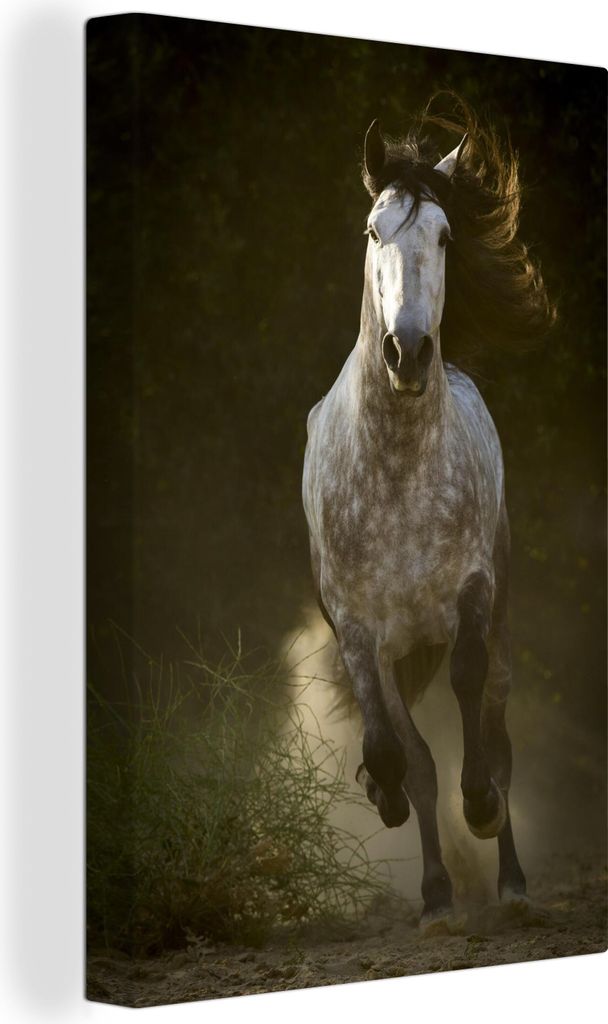 OneMillionCanvasses - Leinwandbilder - 90x140 cm, Pferd - Grau - Sand - Andalusier, Wandbilder Kunstdruck Wanddekoration - Wandschmucke - Schlafz...