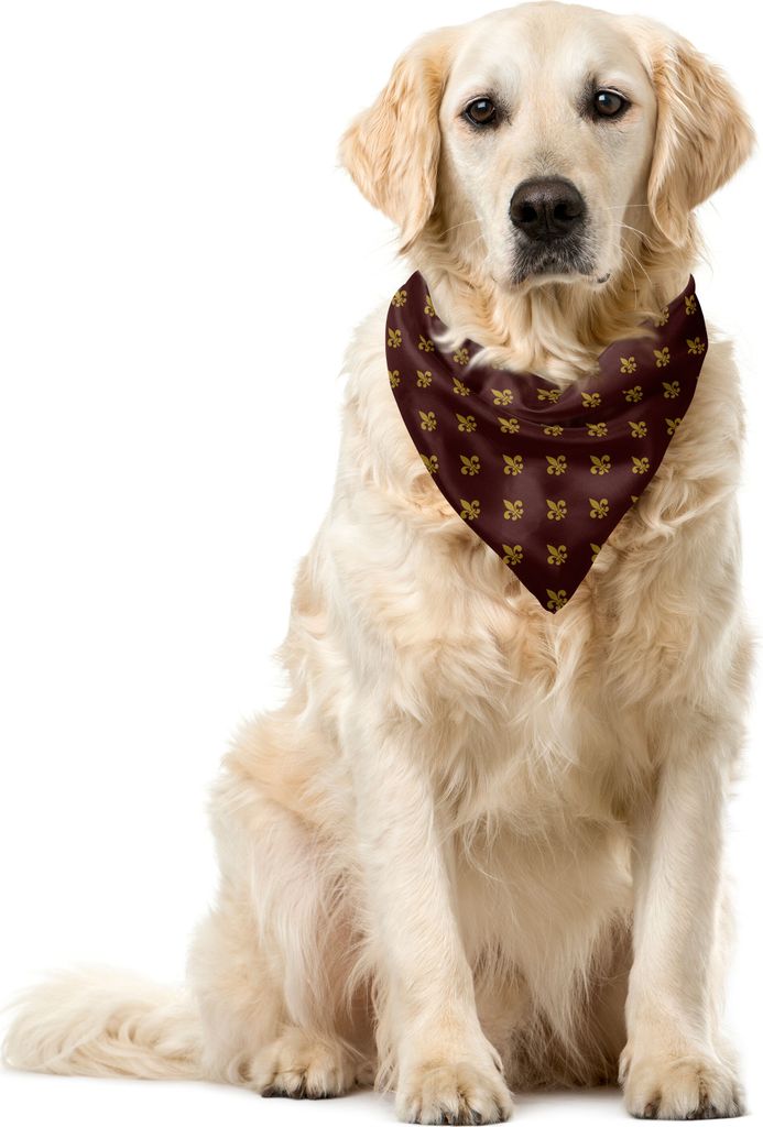 ABAKUHAUS Fleur De Lis Haustier Bandana, Königliche Muster, 40x40 cm, Burgund Erde Gelb