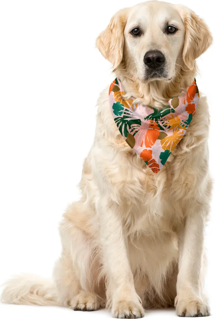 ABAKUHAUS Bandana hawaiana per animali domestici, Foresta tropicale colorata, 55x55 cm, Multicolore