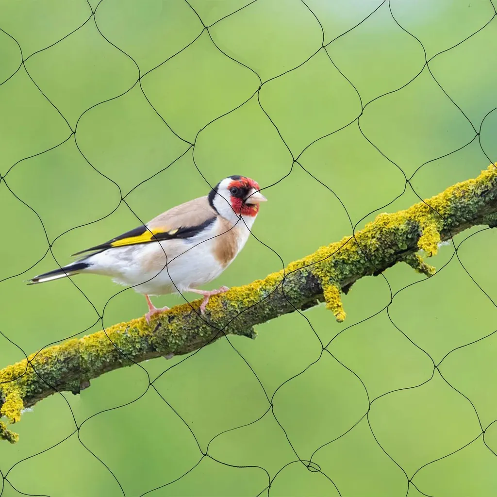 Protection des Plantes et Cultures contre Oiseaux en Filet Nylon Noir