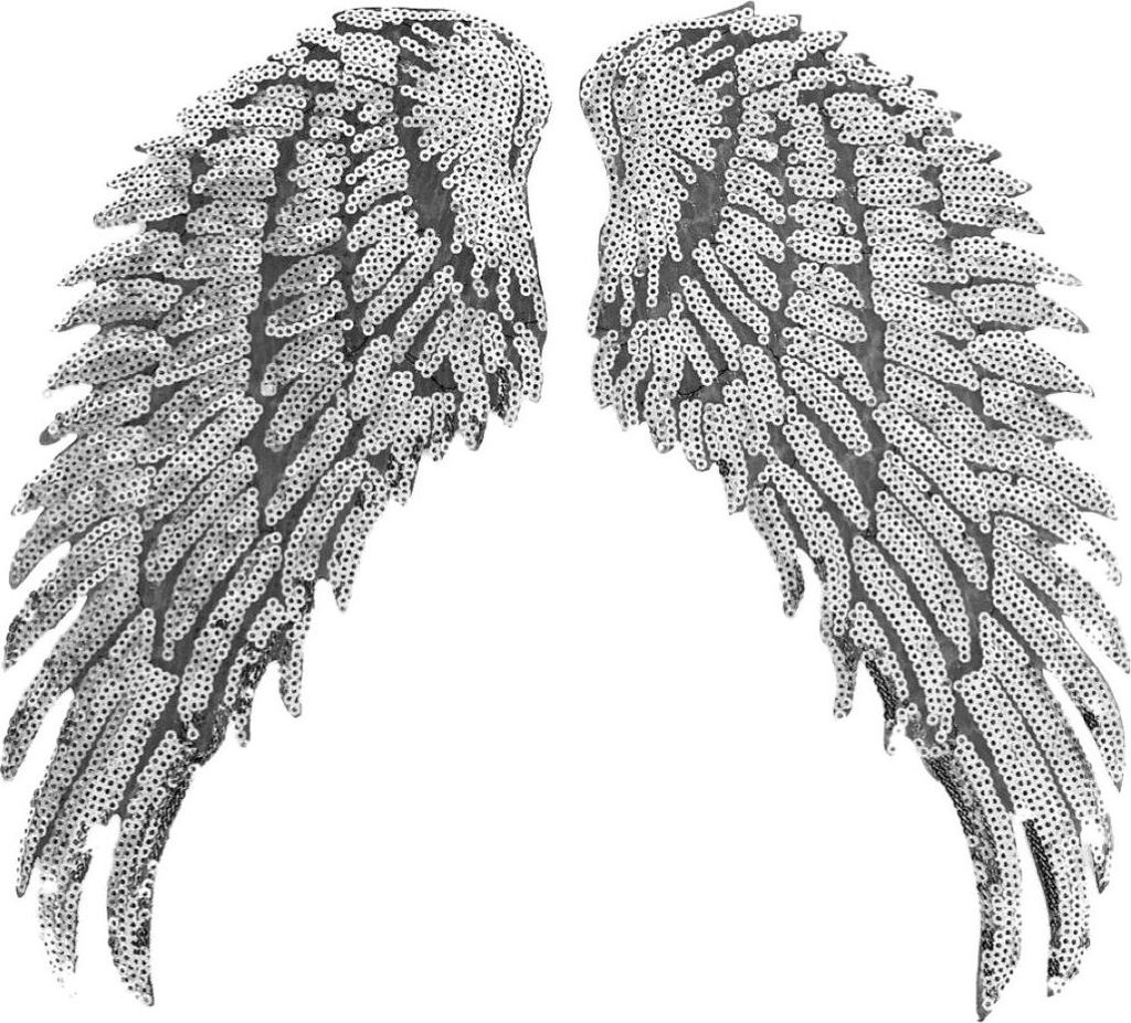 Wing Paillette XL-Emblem-Patch-Set zum Aufbügeln
