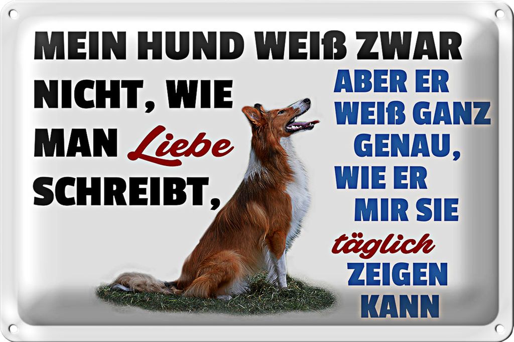 Blechschild Spruch 18x12cm mein Hund weiß zwar Hundeliebe