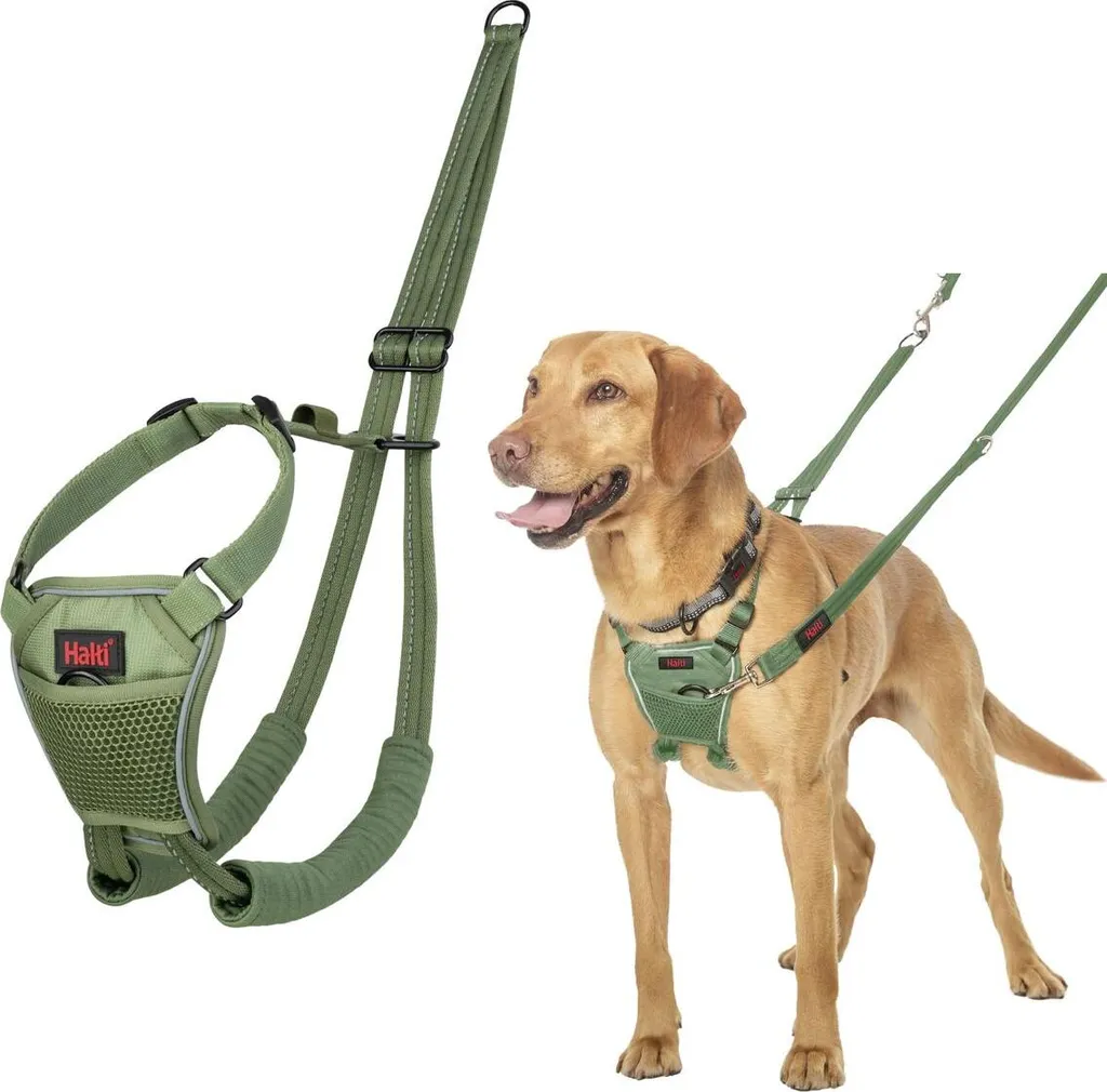 Pettorina per cani FOREST Verde 12 | Guida al Controllo e Benessere