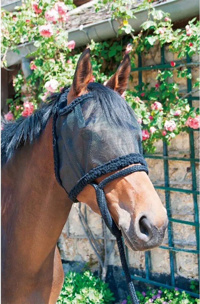 T.de.t Maschera Antimosche Senza Orecchie Nero Completo Cavallo