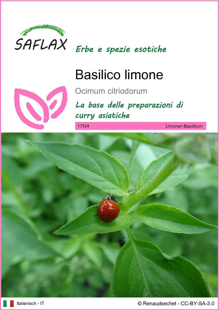 SAFLAX  - Basilico limone - 200 semi - Ocimum Immagine del prodotto 