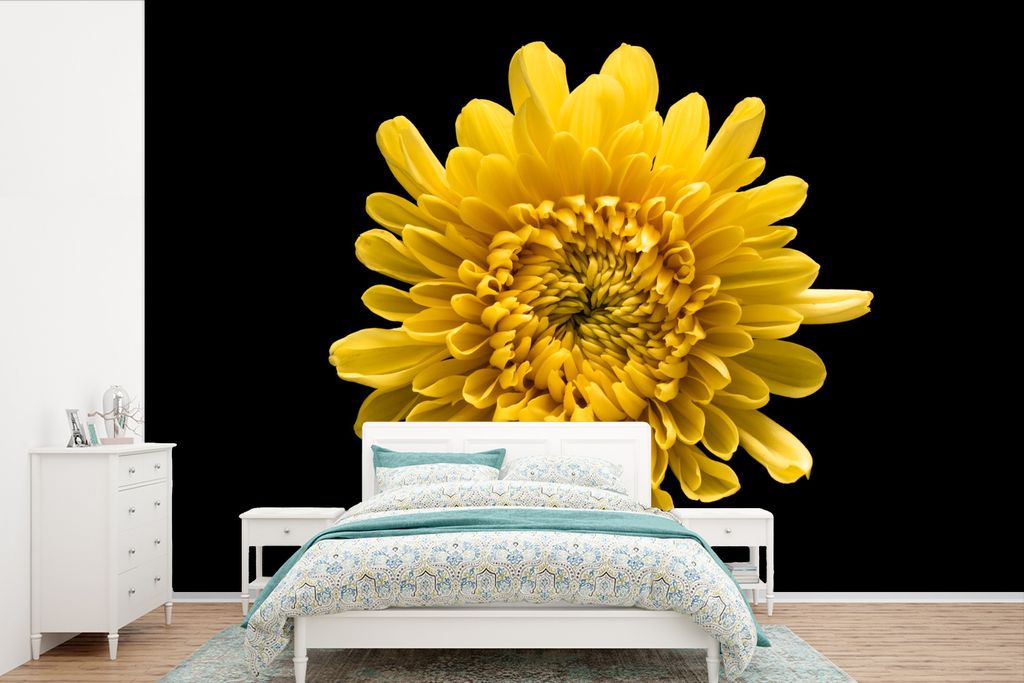 MuchoWow Fototapete für Wohnzimmer oder Schlafzimmer Wandtapete Vinyl Motivtapete Eine gelbe Chrysantheme auf schwarzem Hintergrund - 390x260 cm...