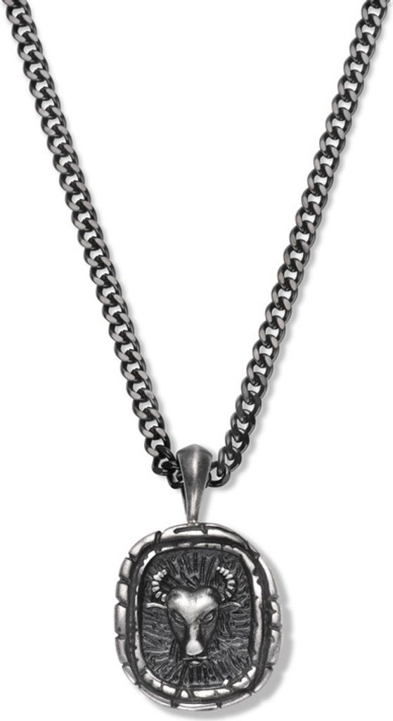 Frank1967 7FN-0035 zodiac ketting - 60CM - stier - Cadeau Produktbild 