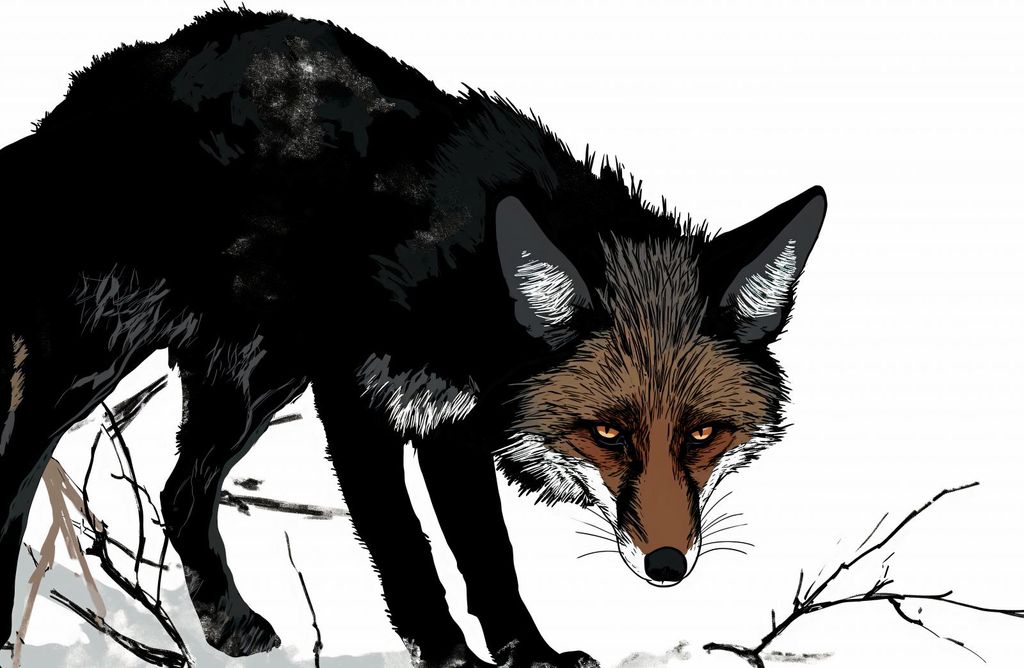 Plakat 91,5x61cm Misstrauischer Fuchs