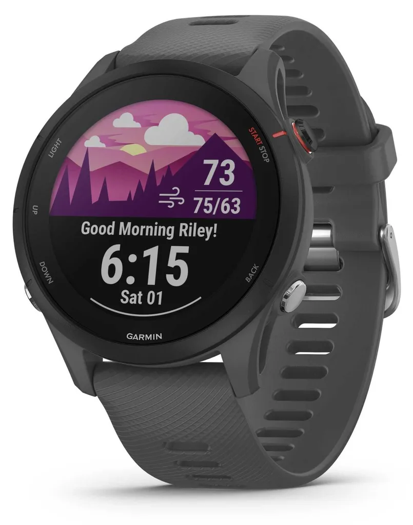 Améliorez vos Chronos avec la Garmin Forerunner 255 Gris et son GPS - 2