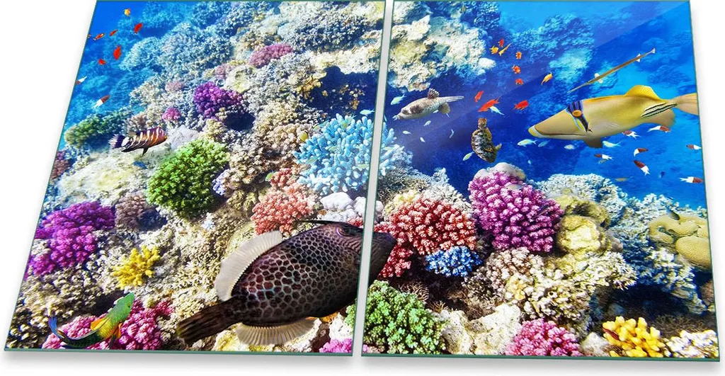 Copri Piano Cottura in Vetro 2 Pezzi 40x52 Animali Blu - Protezione Cucina