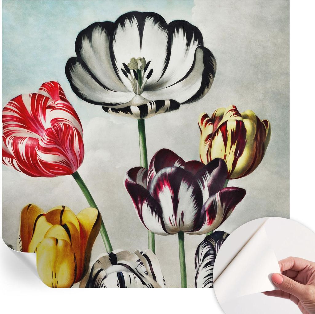 Selbstklebende Wandtapete - Dekorative Tapete für Wohnzimmer - Klebefolie für Wandbilder - Tapetenfolie für Wanddekoration - 250x250 cm - Bunte ...