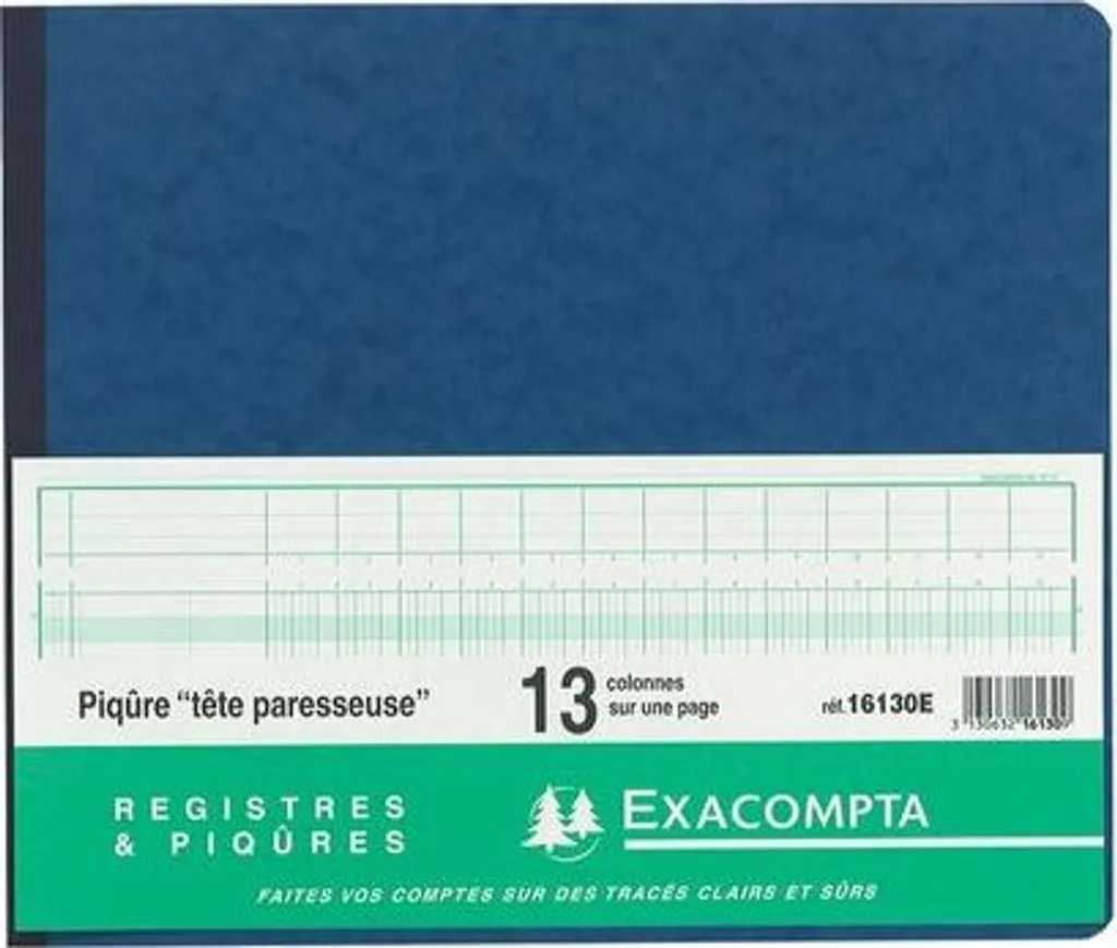 Exacompta 19610E Piqûre Journal de Caisse ou Banque 297x380 mm 80 Pages