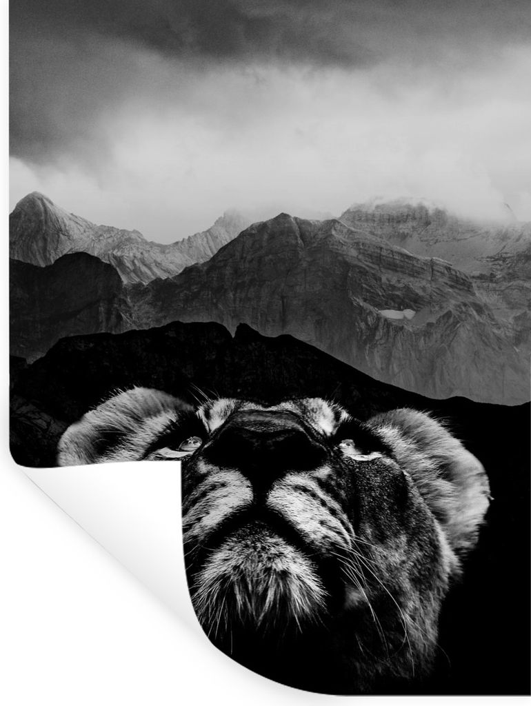 MuchoWow Wandtattoo Wandsticker Wandaufkleber Tiger mit Blick auf die Berge im Hintergrund - schwarz und weiß 90x120 cm Selbstklebend und Reposi...