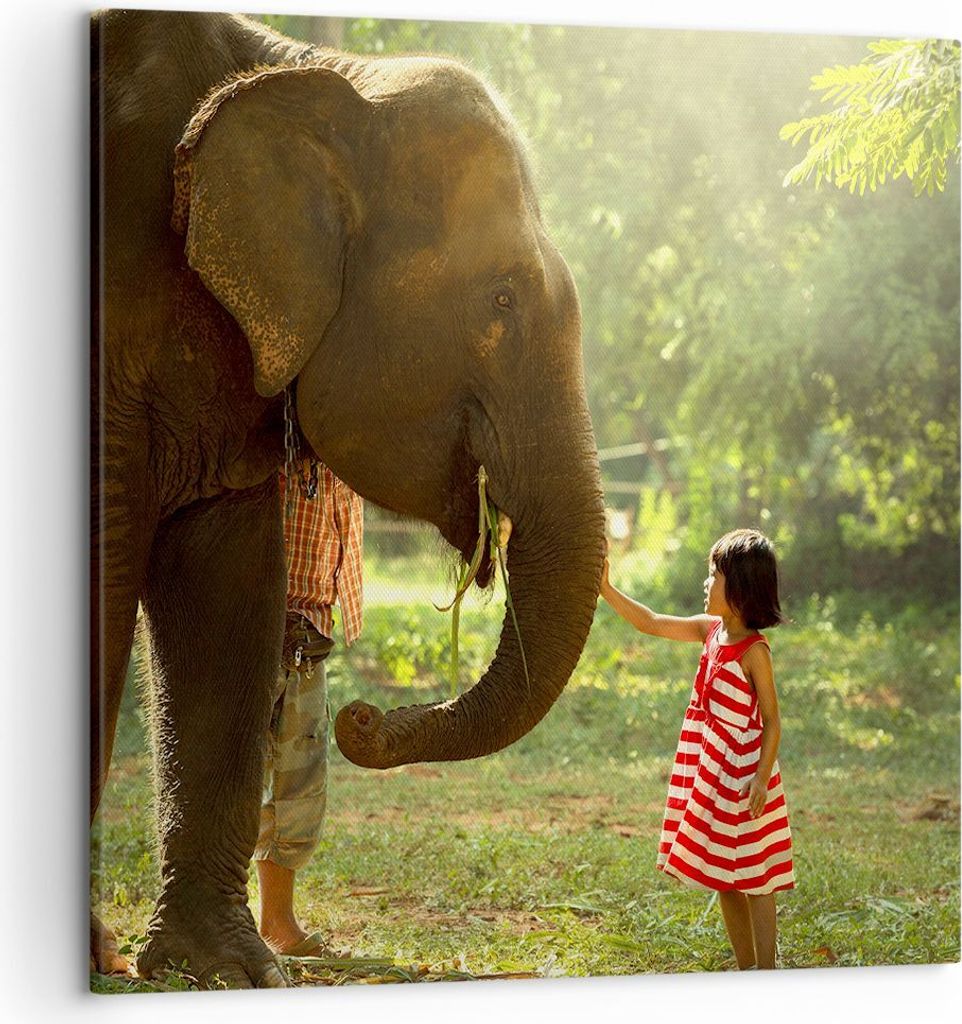 Bild auf Leinwand - Leinwandbild - Elefant Tier - 50x50cm - Wand Bild - Wanddeko - Wandbilder - Leinwanddruck - Bilder - Kunstdruck - Wanddekoratio...