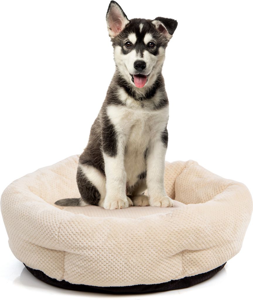 Hundebett Cloey · Hundekörbchen · beige · M · ca. 60 x 60 x Produktbild 