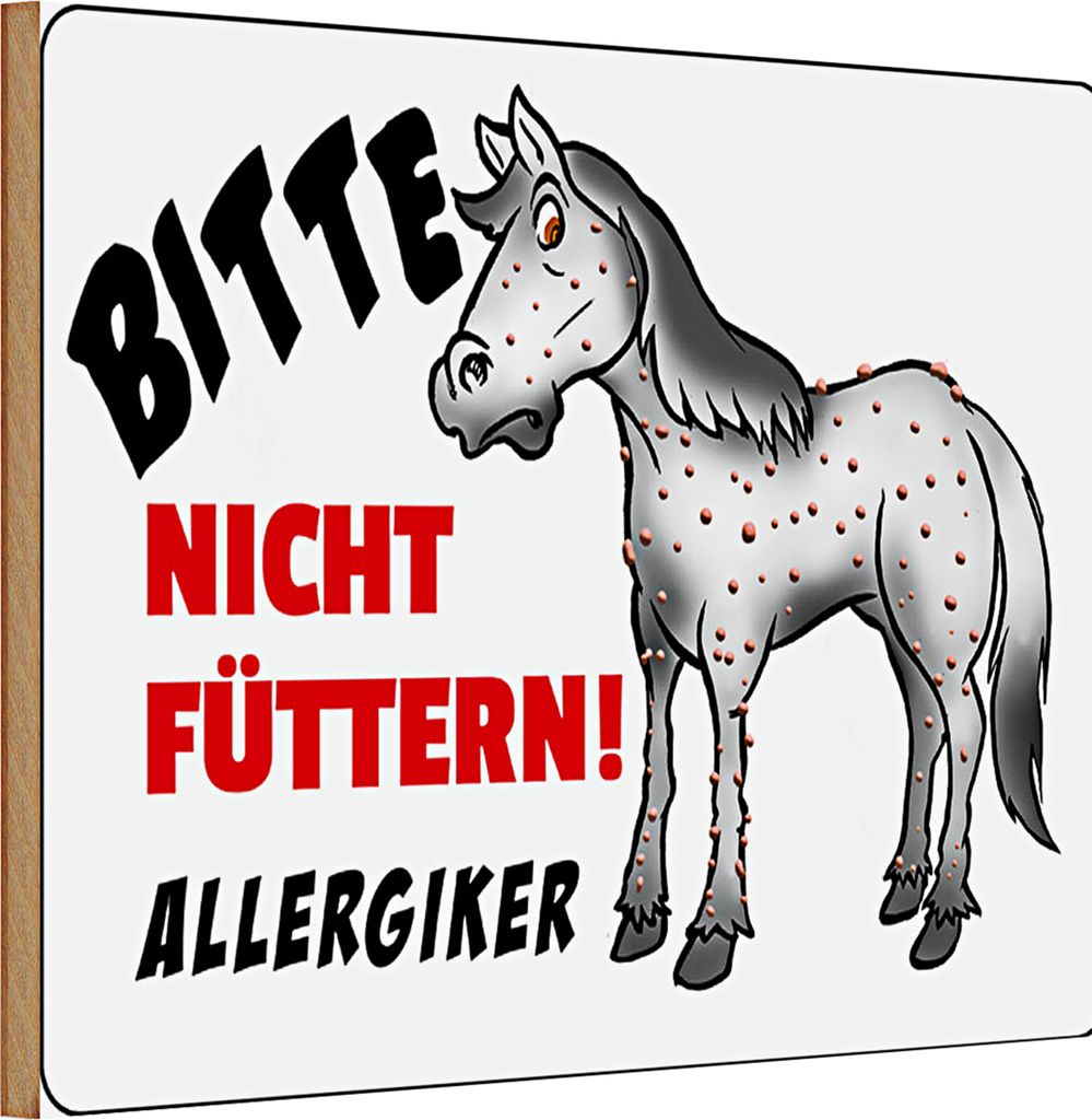 Holzschild Spruch Verbotsschild 30x20cm Bitte nicht füttern