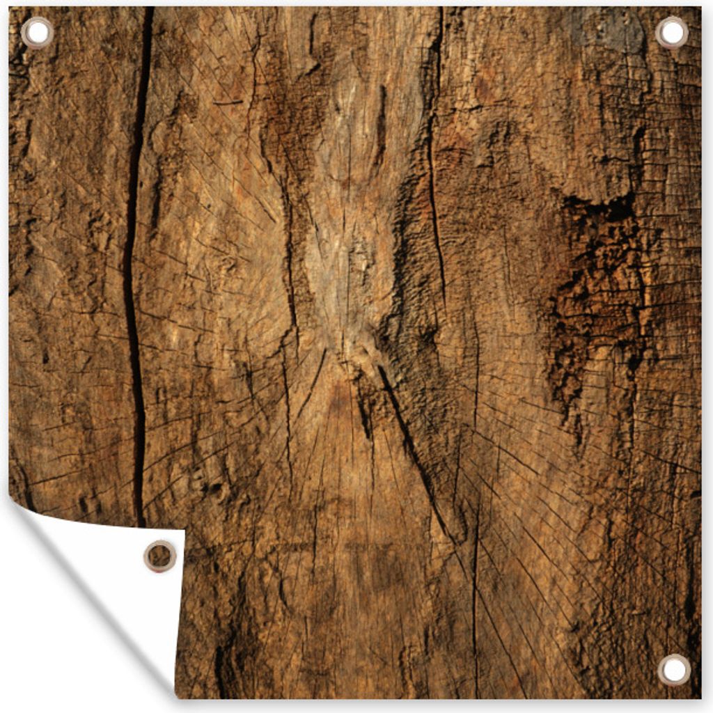 MuchoWow 100x100 cm Outdoor-Poster Gartendeko Sichtschutz Garten Poster für den Garten Baumstamm - Holz - Textur