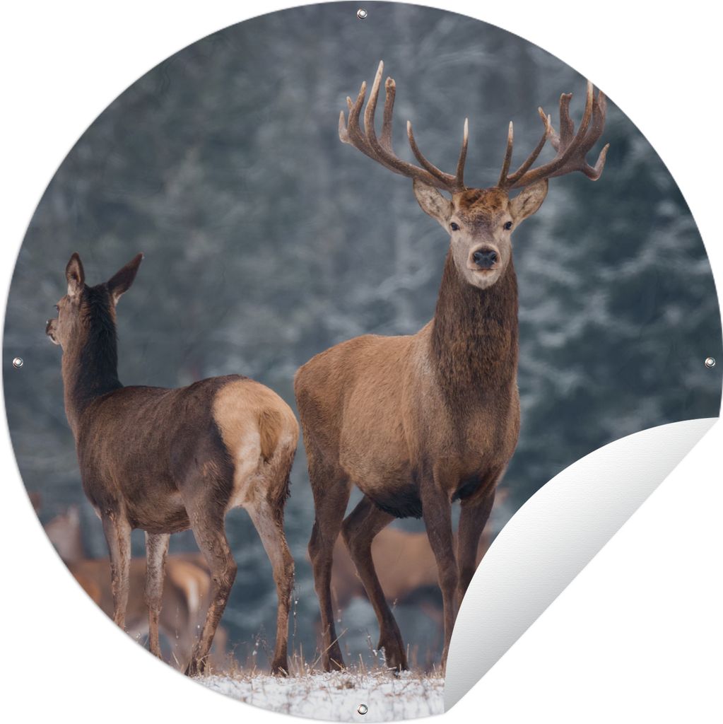 MuchoWow Gartenposter Outdoor-Poster Rund Waldtiere - Hirsche - Landschaft - Winter - Schnee - Natur Ø 120 cm Gartendeko Rundes Poster draußen