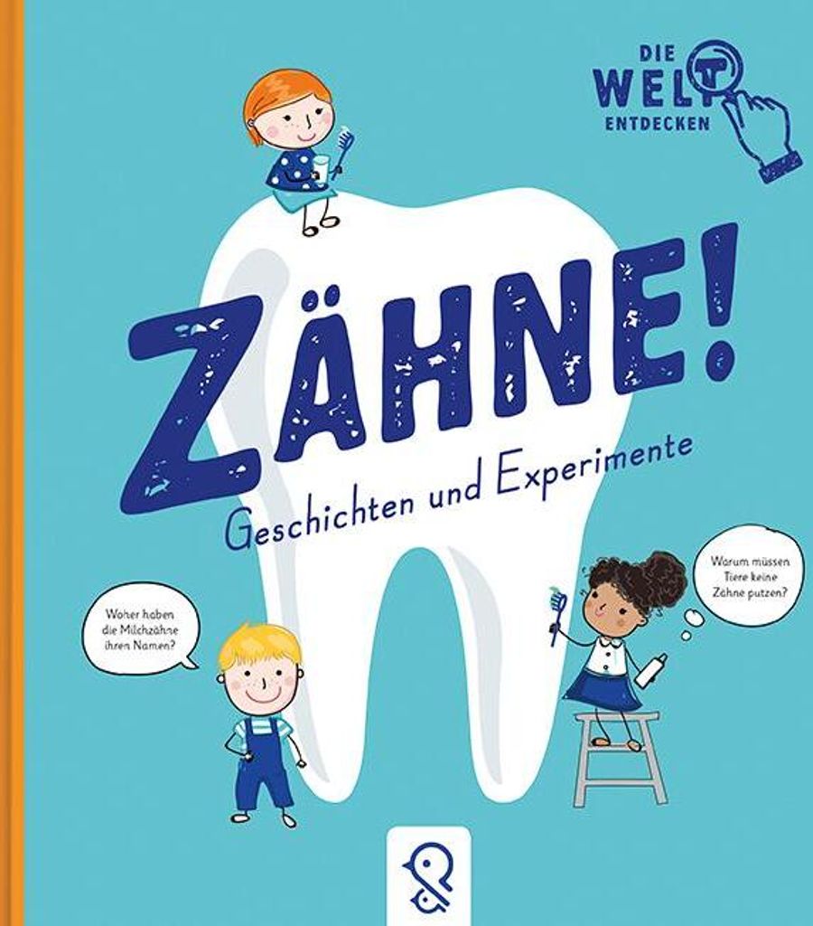 Anatomisches Modell Menschliche Zähne: 20 Milchzähne, 32 bleibende Zähne