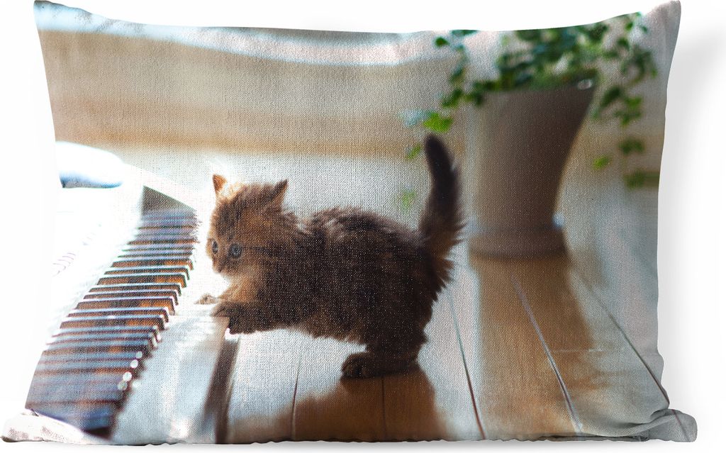 MuchoWow Outdoor Kissen - Katze - Tier - Kätzchen - 50x30 cm - Wetterfest - Lounge Kissen - Sofa kissen - Wohnzimmer Dekoration