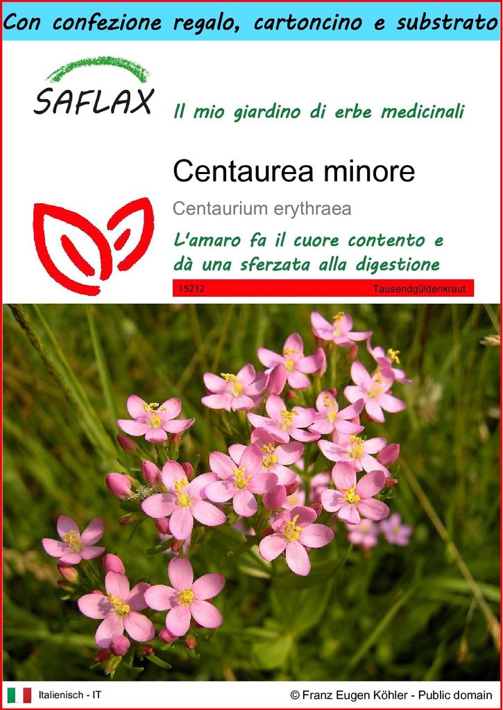 SAFLAX Set regalo - Centaurea minore - 250 semi - Immagine del prodotto 