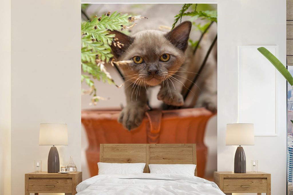 MuchoWow Fototapete für Wohnzimmer oder Schlafzimmer Wandtapete Vinyl Motivtapete Ein junges birmanisches Kätzchen sitzt inmitten der Pflanzen ...