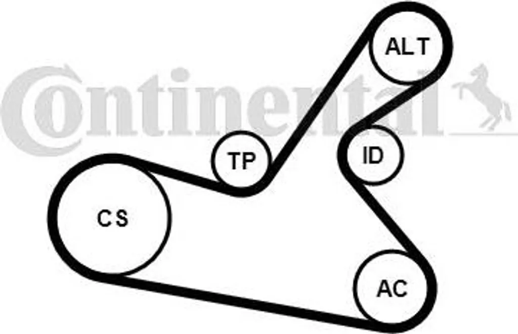 Stop aux sifflements moteur : Kit courroie Continental 1613845980