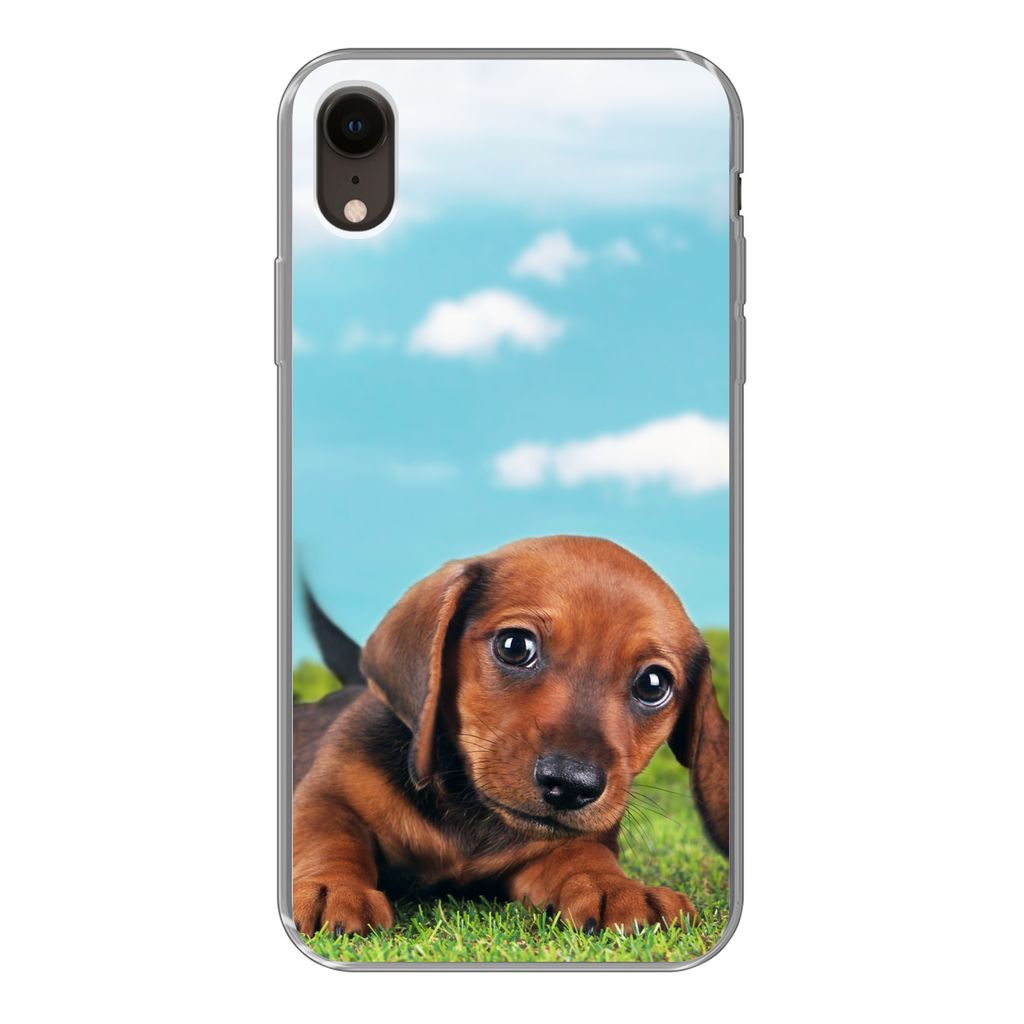 MuchoWow Handyhülle Schutzhülle Hülle für iPhone XR Schöner Himmel über einem niedlichen Dackelwelpen Silikon Softcase Handy Hülle - Schut...