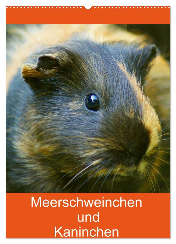 Meerschweinchen und Kaninchen Familienplaner (Wandkalender 2027 DIN A2 hoch), CALVENDO Monatskalender