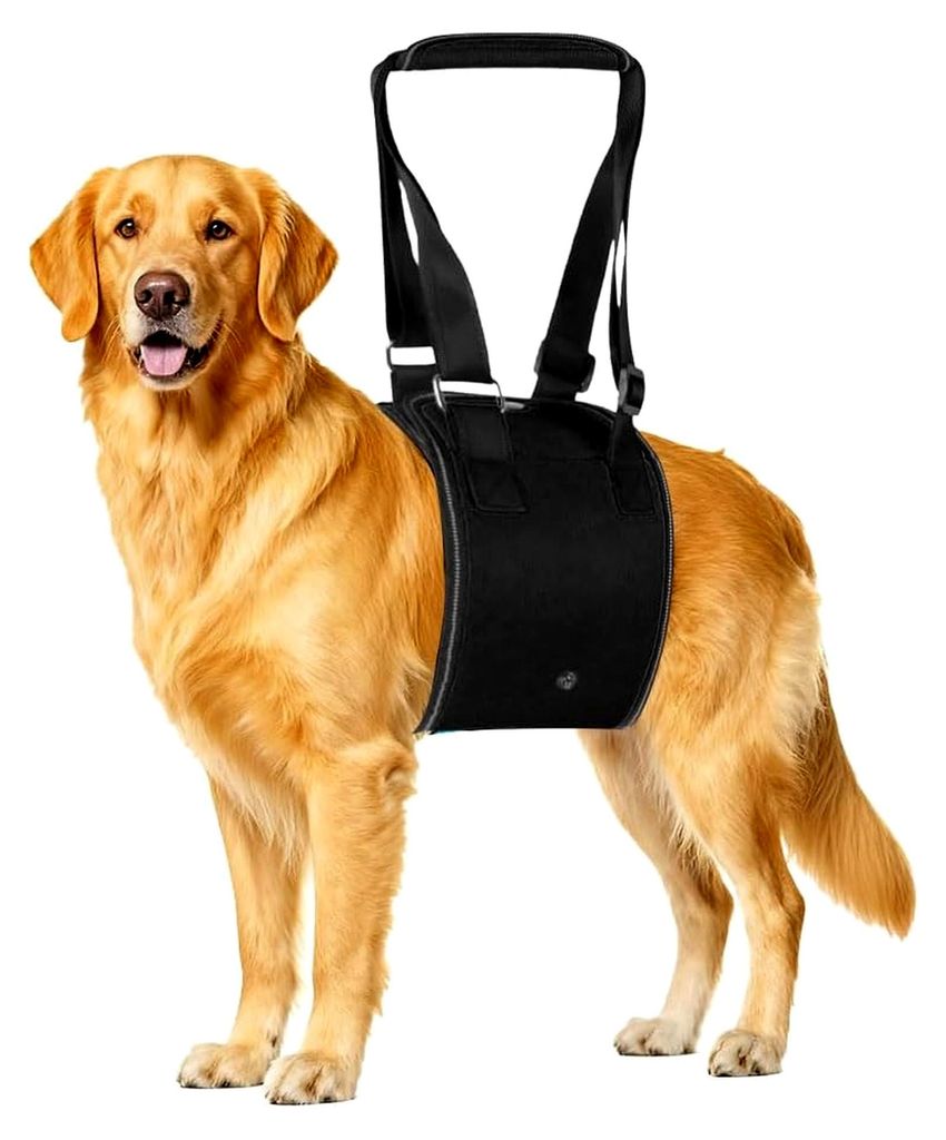 Tragehilfe für Hunde Einstellbarer Hundetragegurt zur Unterstützung von älteren und behinderten Hunden (Schwarz M)