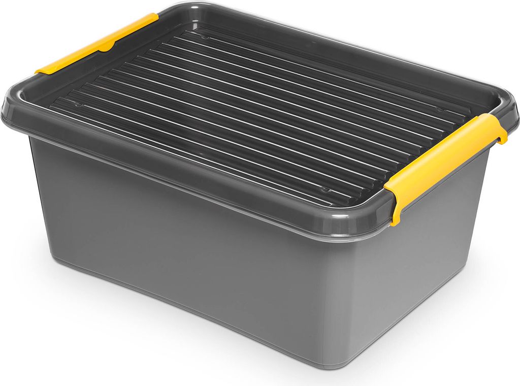 Contenitore in plastica con coperchio, organizer Immagine del prodotto 