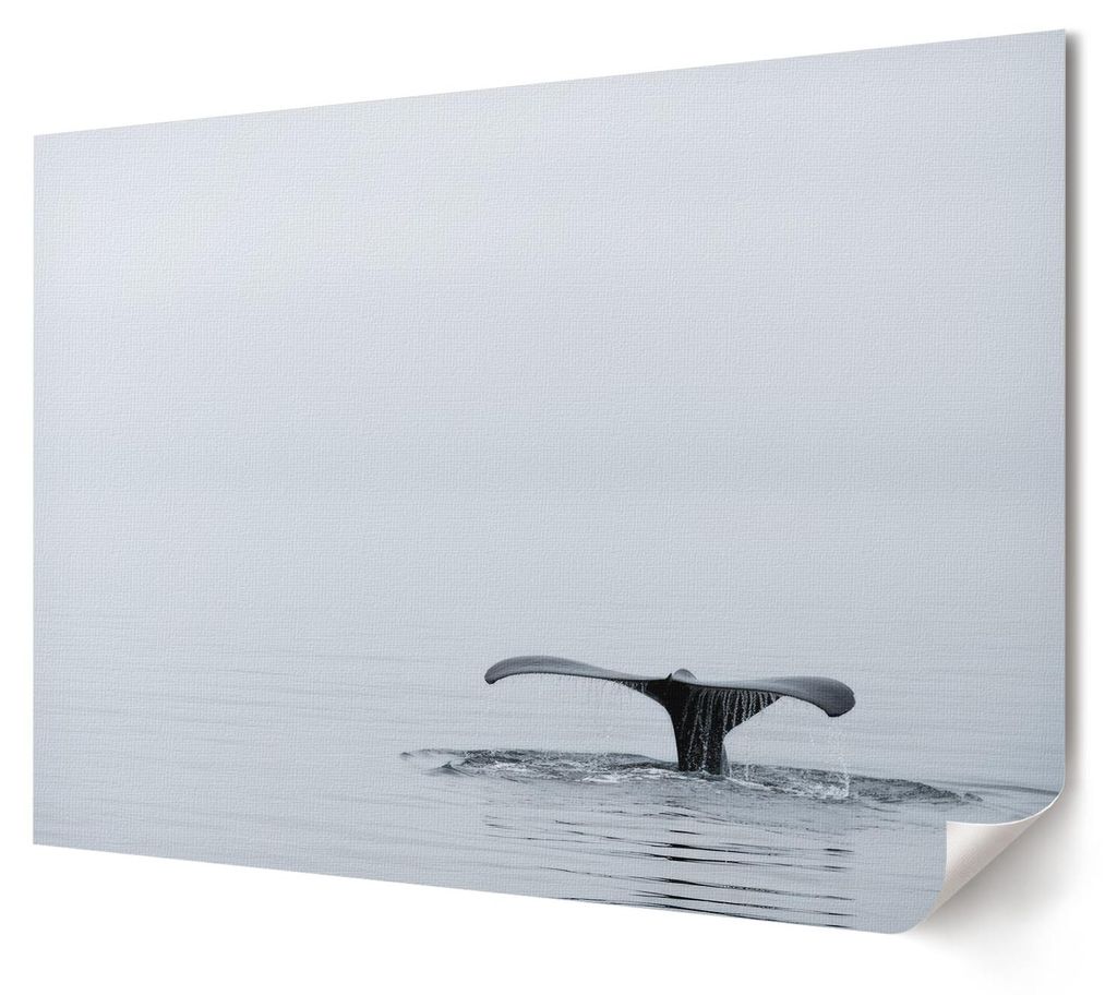Ozeanische Ruhe - Kunstdruck A4 - Fotografie- Wandbild für Wohnzimmer Schlafzimmer & Flur, Modernes Poster Wanddeko, Ungerahmt