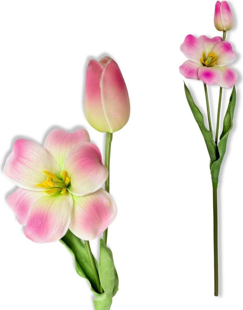 Zweig - Rosa Schaumtulpe, schattiert, 53 cm