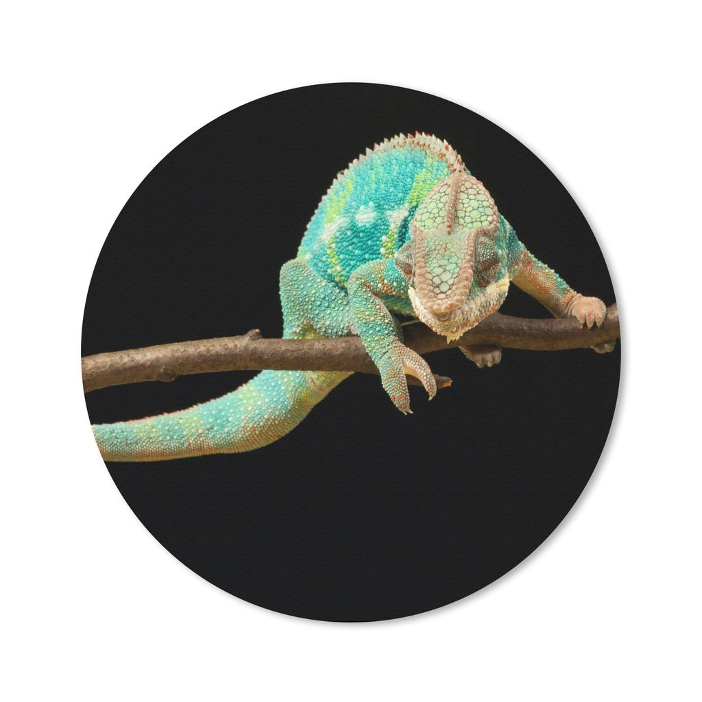 MuchoWow Mauspad Mousepad Chamäleon - Zweig - Pastell 20x20 cm - Mousepads - Maus Mat - Pad - Mausunterlage - Schreibtischmatte