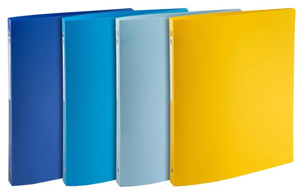 Exacompta 51110E Classeur à Anneaux Bee Blue A4 pour Classement de Bureau