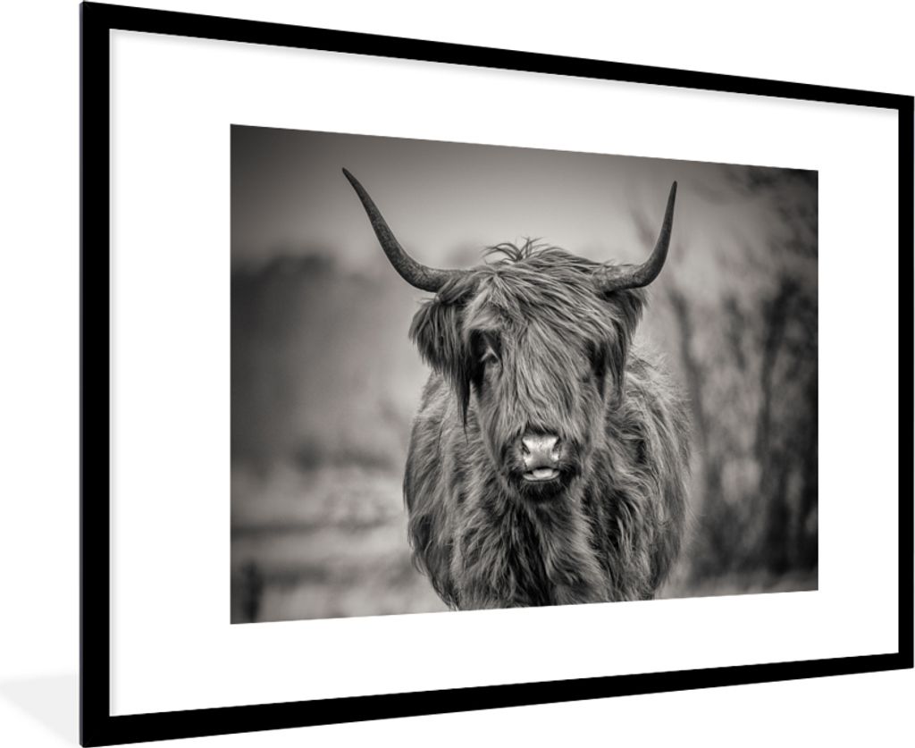 MuchoWow Gerahmtes Poster Schottischer Highlander - Schwarz und Weiß 90x60 cm - Poster mit Schwarzem Bilderrahmen Wandposter Rahmen Foto Bilder ...