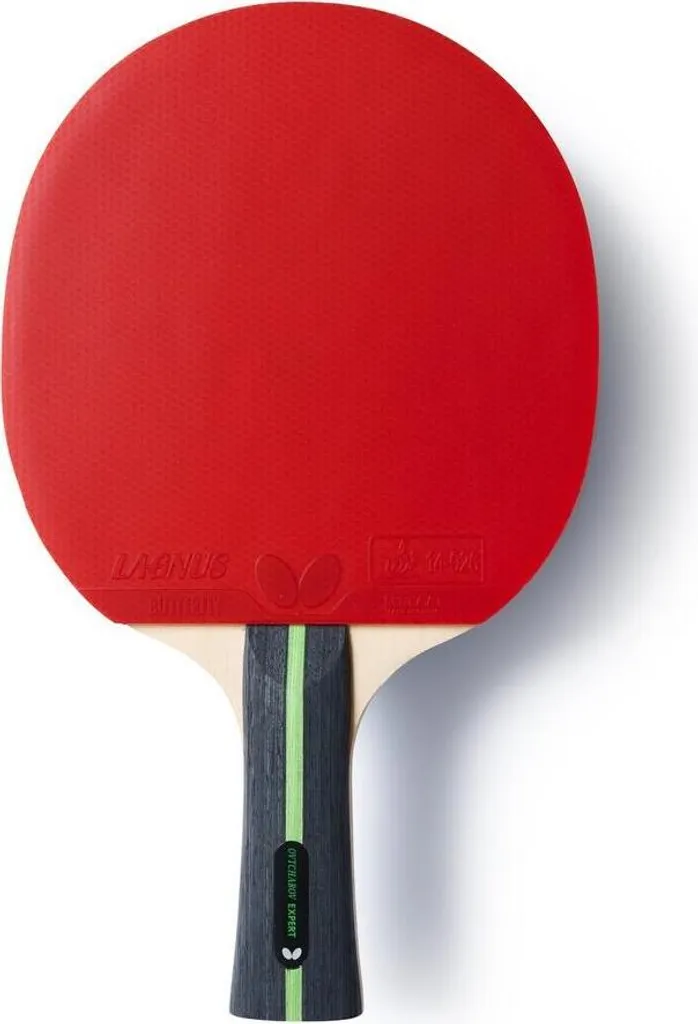 Ovtcharov Expert Butterfly : Bois Offensif avec un Contrôle de Balle