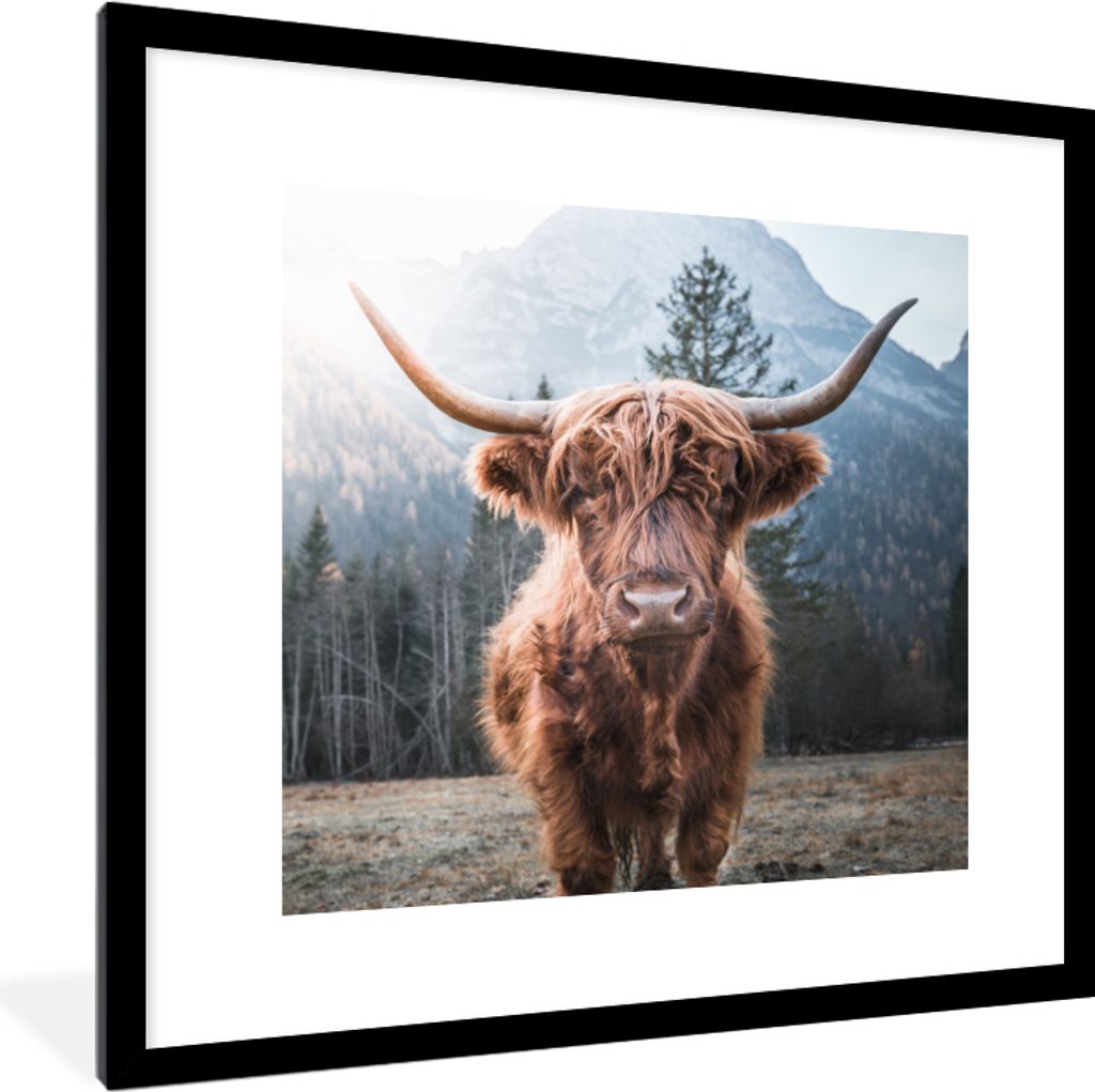 MuchoWow Gerahmtes Poster Schottischer Hochländer - Kuh - Tiere - Berg - Natur 40x40 cm - Poster mit Schwarzem Bilderrahmen Wandposter Rahmen Fo...