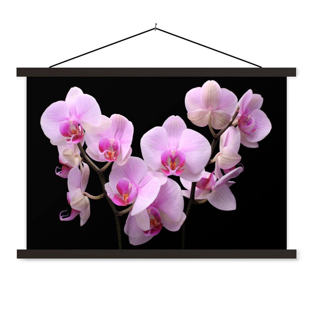 MuchoWow Textilposter Orchidee - Blumen - Rosa - Flora 120x80 cm mit schwarzem Rahmen - Wanddeko