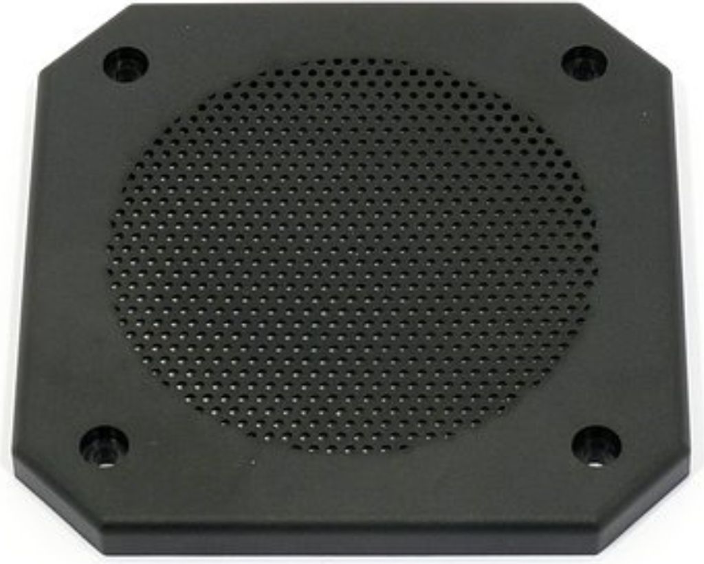 Visaton 10 PL Gitter
