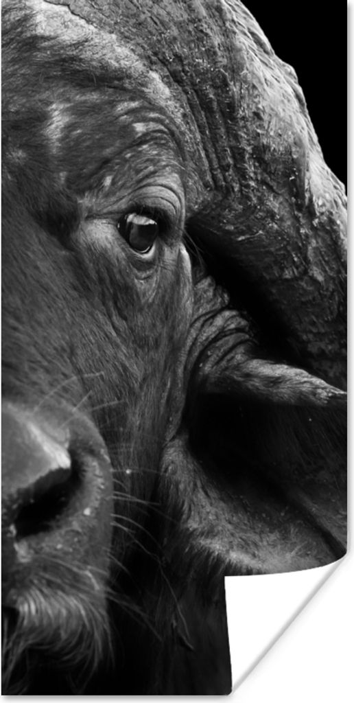 MuchoWow Poster Büffel - Tiere - Schwarz - Weiß 75x150 cm - Dekoration für die Wände