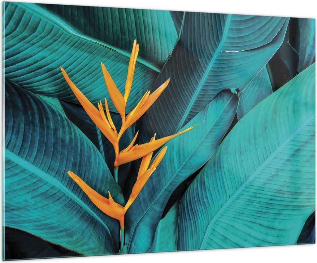 Bilder auf glas - Einteilig - Blumen Tropen Blätter - Produktbild 