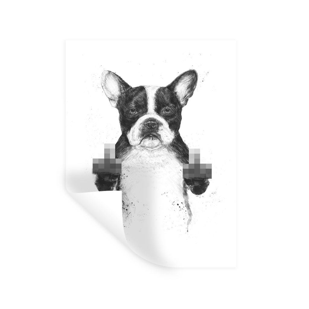 MuchoWow Wandtattoo Wandsticker Wandaufkleber Hund - Tier - Finger - Weiß 120x160 cm Selbstklebend und Repositionierbar - Wierderverwendbar - Se...